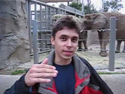 Video 2